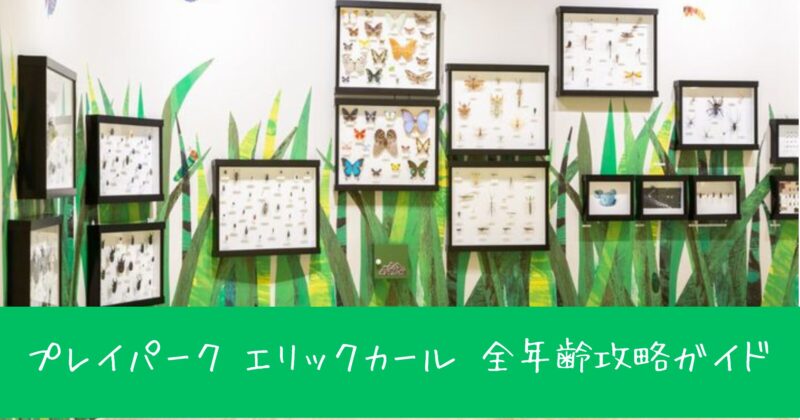 PLAY! PARK ERIC CARLE（プレイパーク エリックカール）全年齢攻略ガイド！アトラクション・ワークショップを徹底解説！