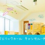 【予約の裏ワザ】PLAY! PARK ERIC CARLE（プレイパーク エリックカール）のキャンセル枠を狙うコツ！授乳室やベビーカー情報も解説