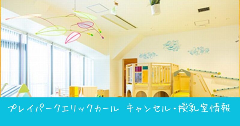 【予約の裏ワザ】PLAY! PARK ERIC CARLE（プレイパーク エリックカール）のキャンセル枠を狙うコツ！授乳室やベビーカー情報も解説