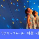 PLAY! PARK ERIC CARLE（プレイパーク エリックカール）の料金・値段の真実！損をしないための「実質コスト計算式」を公開！