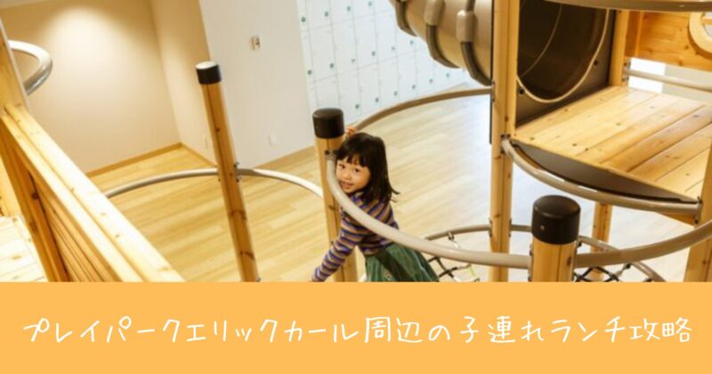 【決定版】PLAY! PARK ERIC CARLE（プレイパーク エリックカール）周辺の子連れランチ攻略！混雑回避のコツと人気店を徹底レビュー！