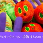 PLAY! PARK ERIC CARL（プレイパークエリックカール）が混雑するのは土日のいつ？来場の注意点やおすすめの時間帯・おすすめできる人もあわせて確認！